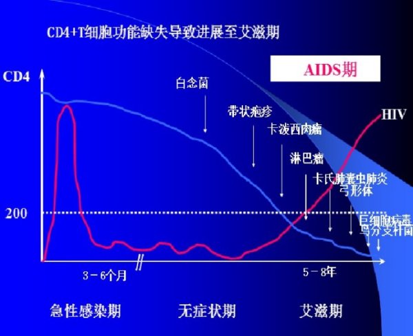 HIV感染下CD4+T細(xì)胞計數(shù)變化