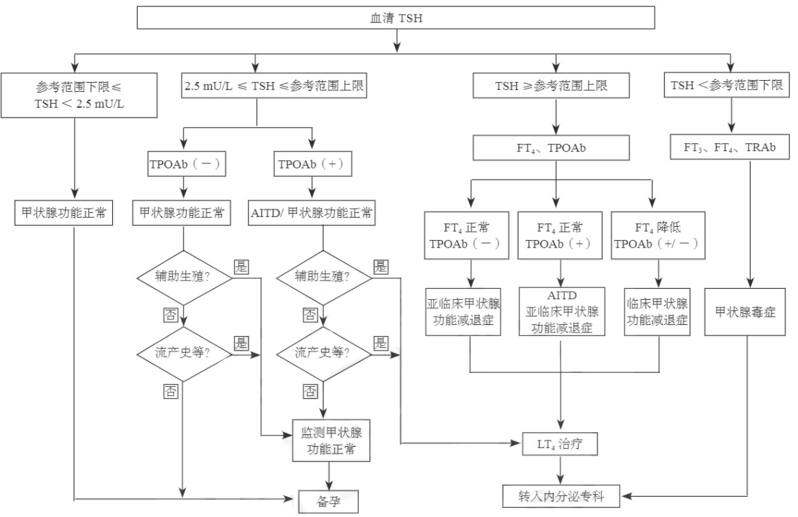 孕前血清TSH篩查、診斷和管理流程