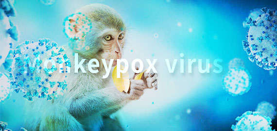 SingleB猴痘項(xiàng)目大顯身手，近100株抗體火速上新！