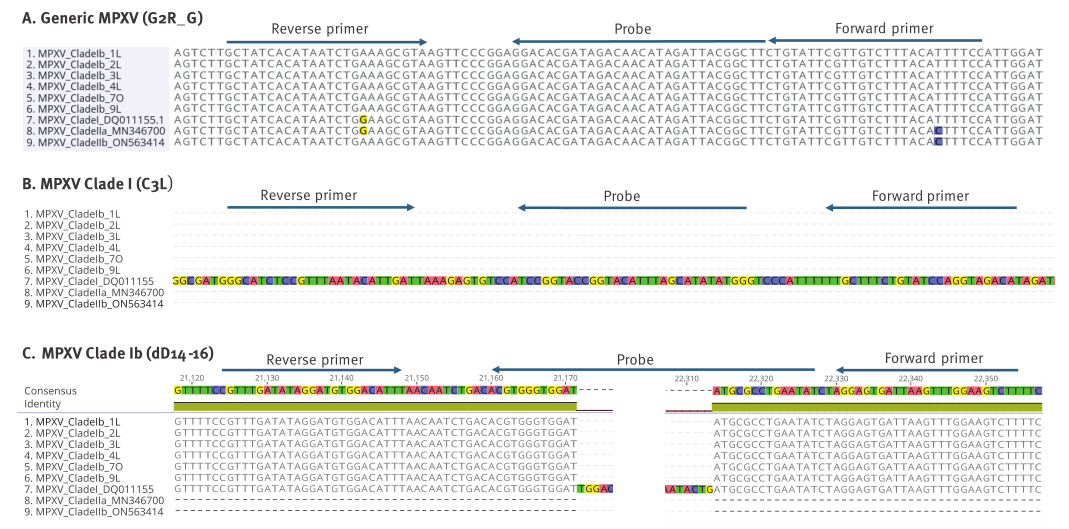 MPXV特異性引物擴增結果