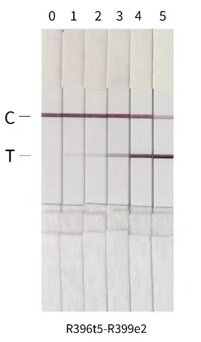 猴痘病毒A29L抗體膠體金檢測結(jié)果